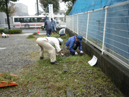 ボランティア除草清掃